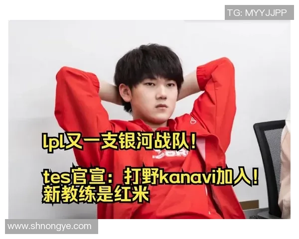 TES战队实力深度分析与未来发展前景探讨