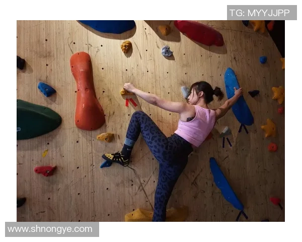 北京攀岩队实力解析与发展前景探讨攀岩运动的魅力与挑战