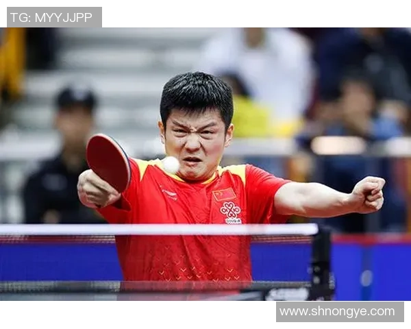 南京乒乓球队灵活性变革引发热议推动运动发展新趋势