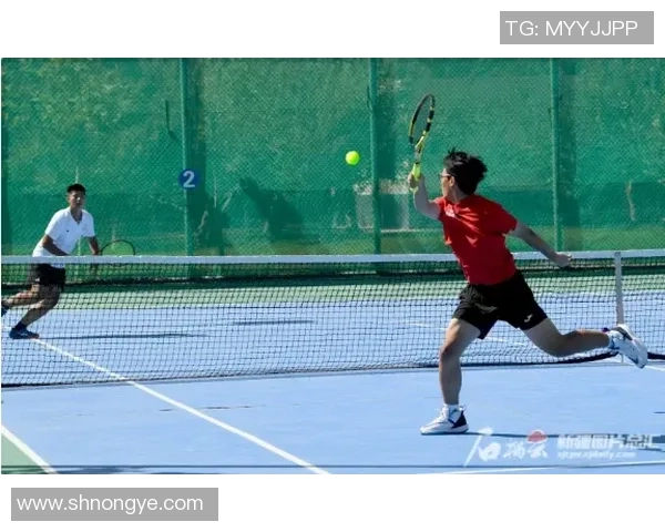 周丽的羽毛球人生深度对话探索她的奋斗与梦想之路 周丽的羽毛球人生深度对话探索她的奋斗与梦想之路