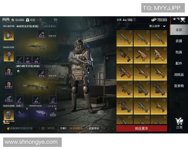 和平精英战术分析：LNG快攻策略的优势与不足探讨