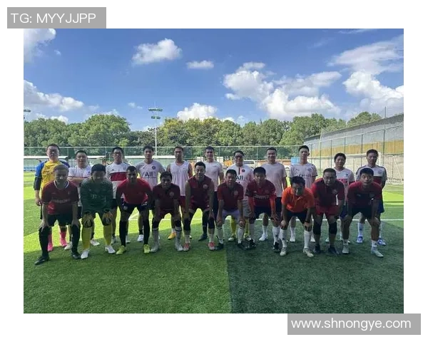 杨秀英独家分享排球技巧与心得体会助你提升球技的秘诀与经验