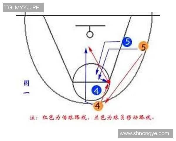武汉篮球队的战术控制与失误分析：提升竞技水平的关键因素