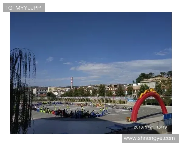 深度对话杨丽揭秘她的足球人生与梦想追逐之路 深度对话杨丽揭秘她的足球人生与梦想追逐之路