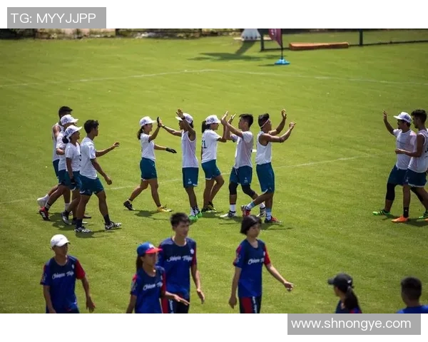 聚焦飞盘运动杭州飞盘队展现实力与团队精神的精彩之旅