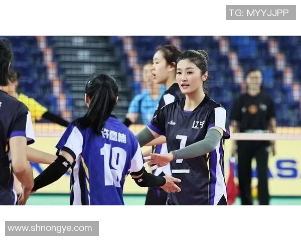 西安排球队在锦标赛中的心理素质分析与表现评估 西安排球队在锦标赛中的心理素质分析与表现评估