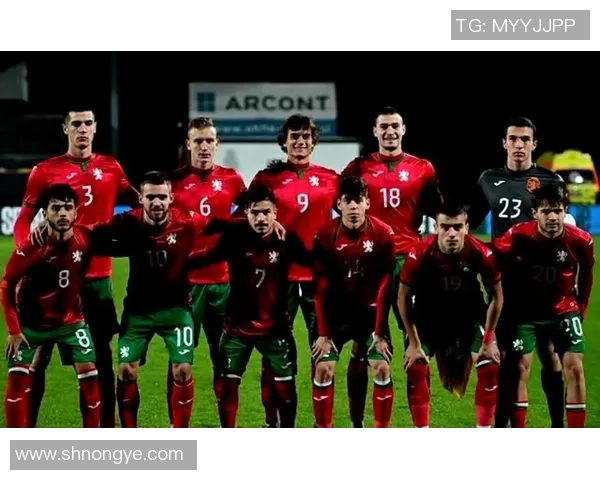 2019年保加利亚与黑山足球对决回顾及精彩瞬间分析