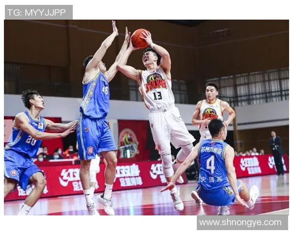 CBA新疆队对阵辽宁队精彩对决下载资源分享与赛事分析