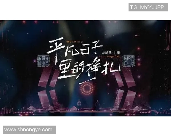 付豪：从平凡到卓越的奋斗历程与人生哲学探索