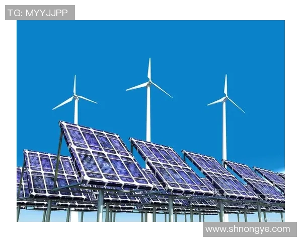 亚马尔地区的资源开发与国际合作前景探讨