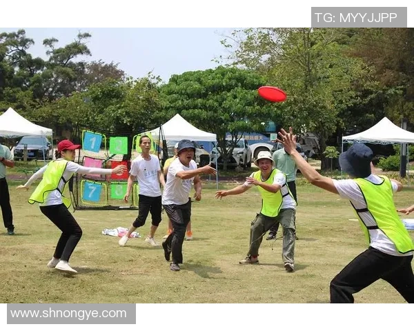 南京飞盘队荣登全国飞盘战术排行榜第五名展现实力与潜力