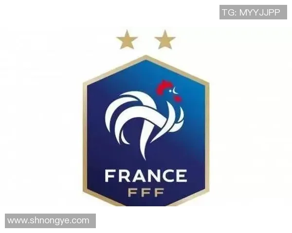 小组赛精彩对决法国队迎战秘鲁队争夺晋级机会 小组赛精彩对决法国队迎战秘鲁队争夺晋级机会